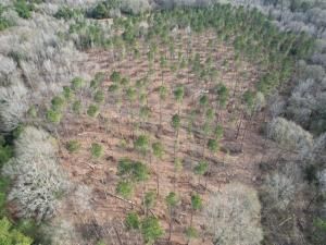 MLS #20850294 image #0