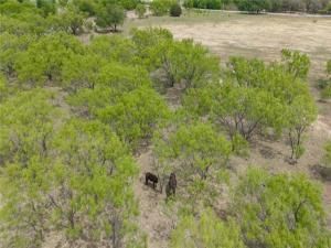 MLS #20858690 image #0