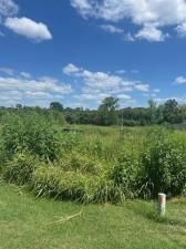 MLS #20866394 image #0