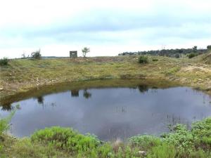 MLS #20866490 image #0