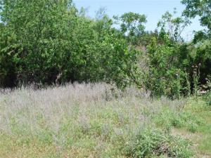 MLS #20868375 image #0