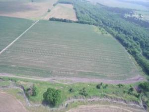 MLS #20868946 image #0