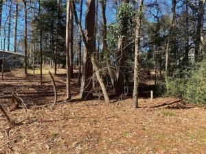 MLS #20872657 image #0