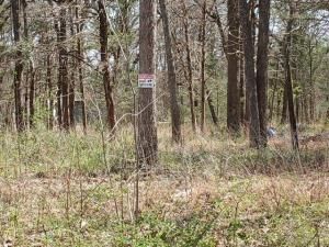 MLS #20879490 image #0