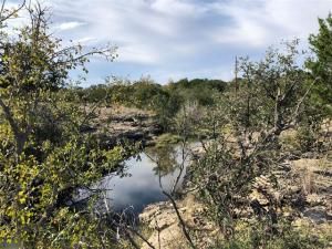 MLS #20879535 image #0