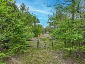 MLS #20887155 image #0