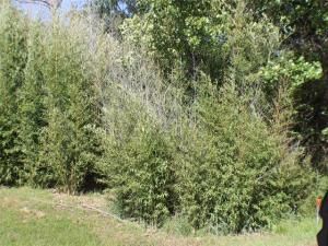 MLS #20899877 image #0