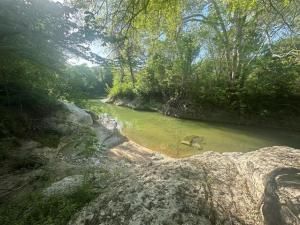 MLS #20902346 image #0