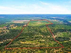 MLS #20904536 image #0