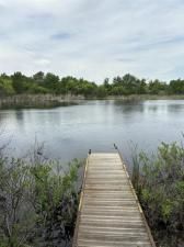 MLS #20905607 image #0