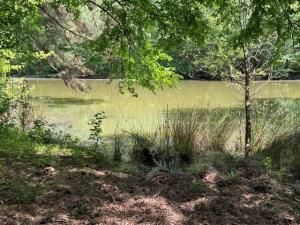 MLS #20917840 image #0