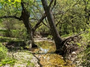 MLS #20918127 image #0