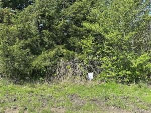 MLS #20924342 image #0