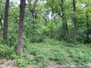 MLS #20927818 image #0