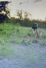 MLS #20932980 image #0