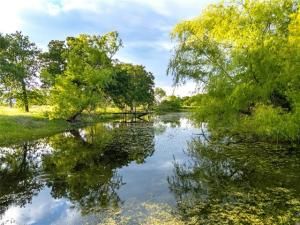 MLS #20934128 image #0