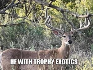 MLS #20935495 image #0