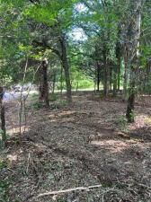 MLS #20937716 image #0