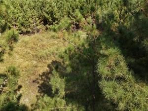 MLS #20939388 image #0