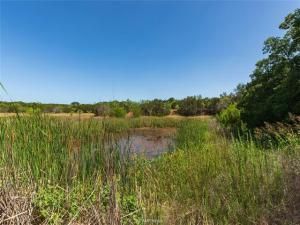 MLS #20942116 image #0