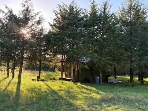 MLS #20943627 image #0