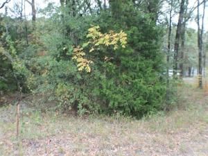 MLS #20944117 image #0