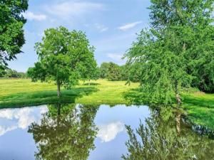 MLS #20945143 image #0