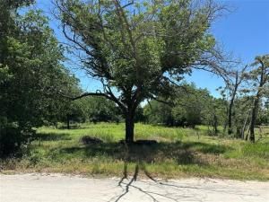 MLS #20956396 image #0