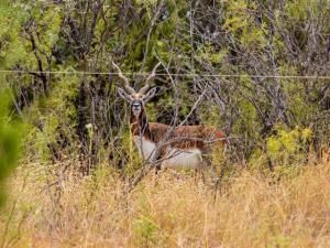 MLS #20957196 image #0