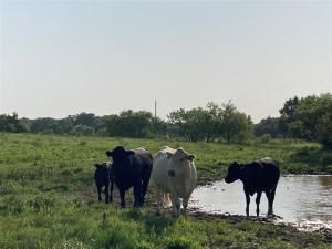 MLS #20964440 image #0