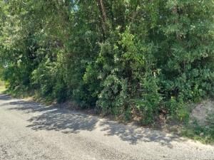 MLS #20967942 image #0