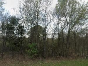 MLS #20969245 image #0