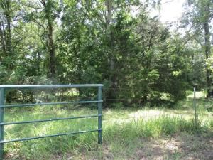 MLS #20969644 image #0