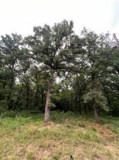 MLS #20969963 image #0