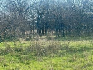 MLS #20970629 image #0