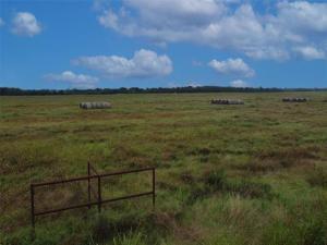 MLS #20974634 image #0