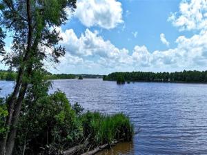 MLS #20975093 image #0