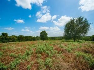 MLS #20978991 image #0