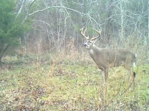 MLS #20984084 image #0