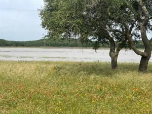 MLS #20984095 image #0