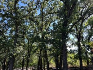 MLS #20989945 image #0