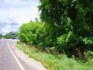 MLS #20990218 image #0