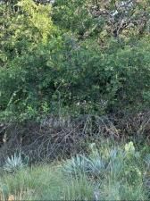 MLS #20991351 image #0