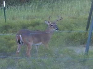 MLS #20991550 image #0