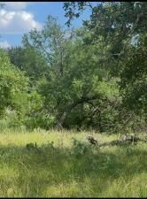 MLS #20991723 image #0