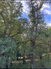 MLS #20991731 image #0