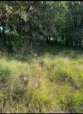 MLS #20991783 image #0