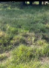 MLS #20991825 image #0