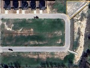 MLS #20994179 image #0