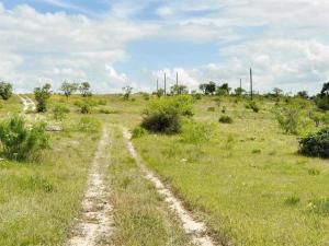 MLS #20999348 image #0